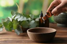 Best Herbs to Heal Nervous System: Herbal Medicine in Modern Times